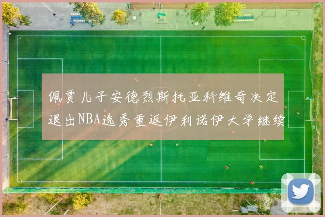 佩贾儿子安德烈斯托亚科维奇决定退出NBA选秀重返伊利诺伊大学继续学业